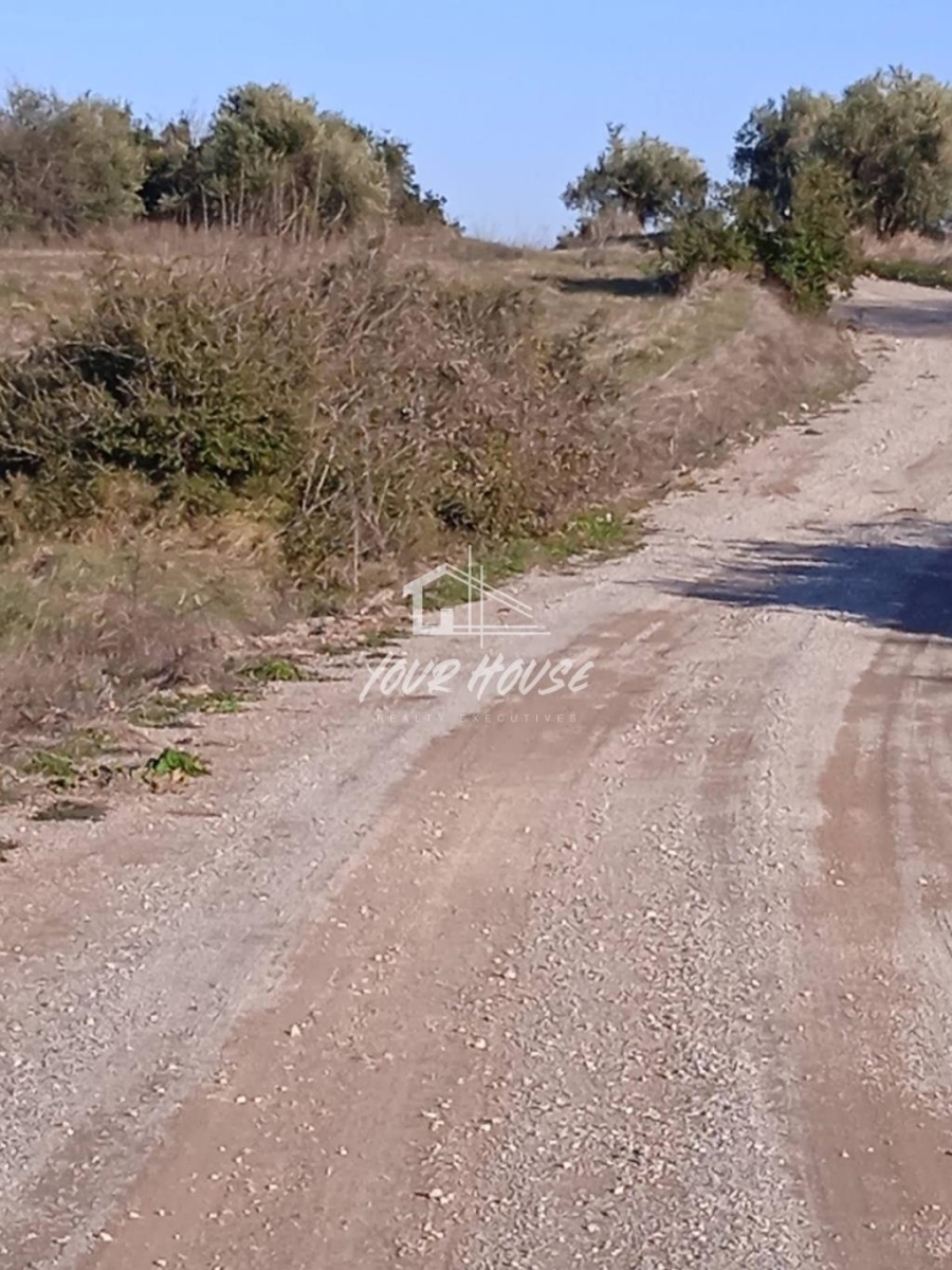 (For Sale) Land Agricultural Land  || Voiotia/Thespies - 5.000 Sq.m, 7.000€ 
