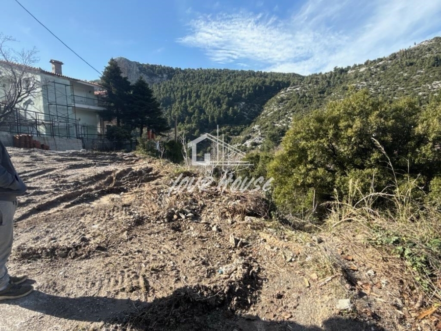 (Προς Πώληση) Αξιοποιήσιμη Γη Οικόπεδο εντός σχεδίου || Ν. Εύβοιας/Δίρφυς - 313 τ.μ, 35.000€ 